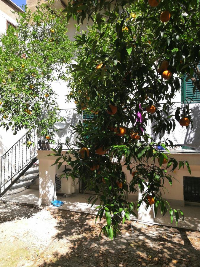 Garden House: Apartments And Rooms For Holidays Palermo Eksteriør billede